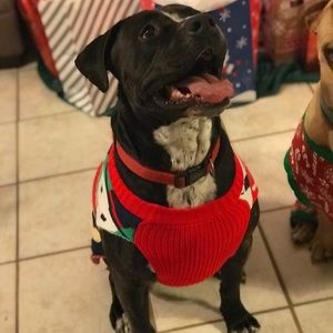 Meet your Posher, Katelynn